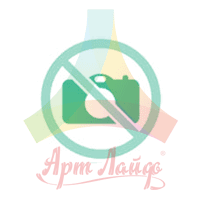 no photo